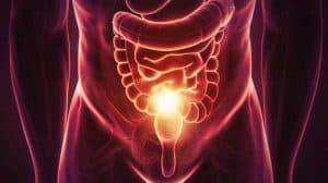 Esquistossomose: Foto gerada com inteligência artificial mostrando órgãos do abdômen.